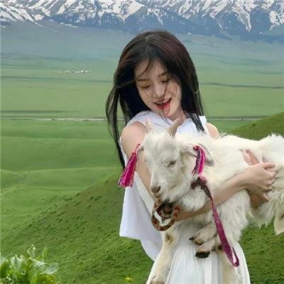 杀手与娇娃